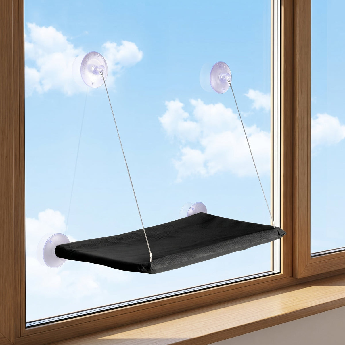 Cat relaxing in a window hammock