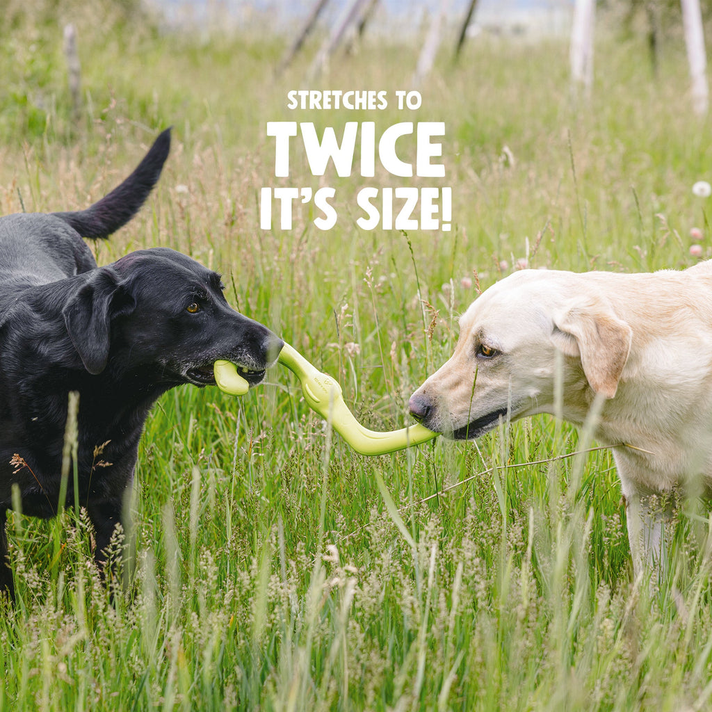 West Paw Bumi Tug & Fetch Dog Toy, view 5