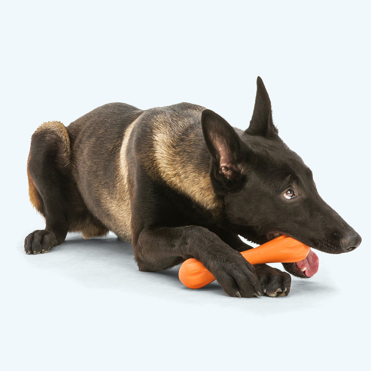West Paw Hurley Durable Dog Bone, view 3