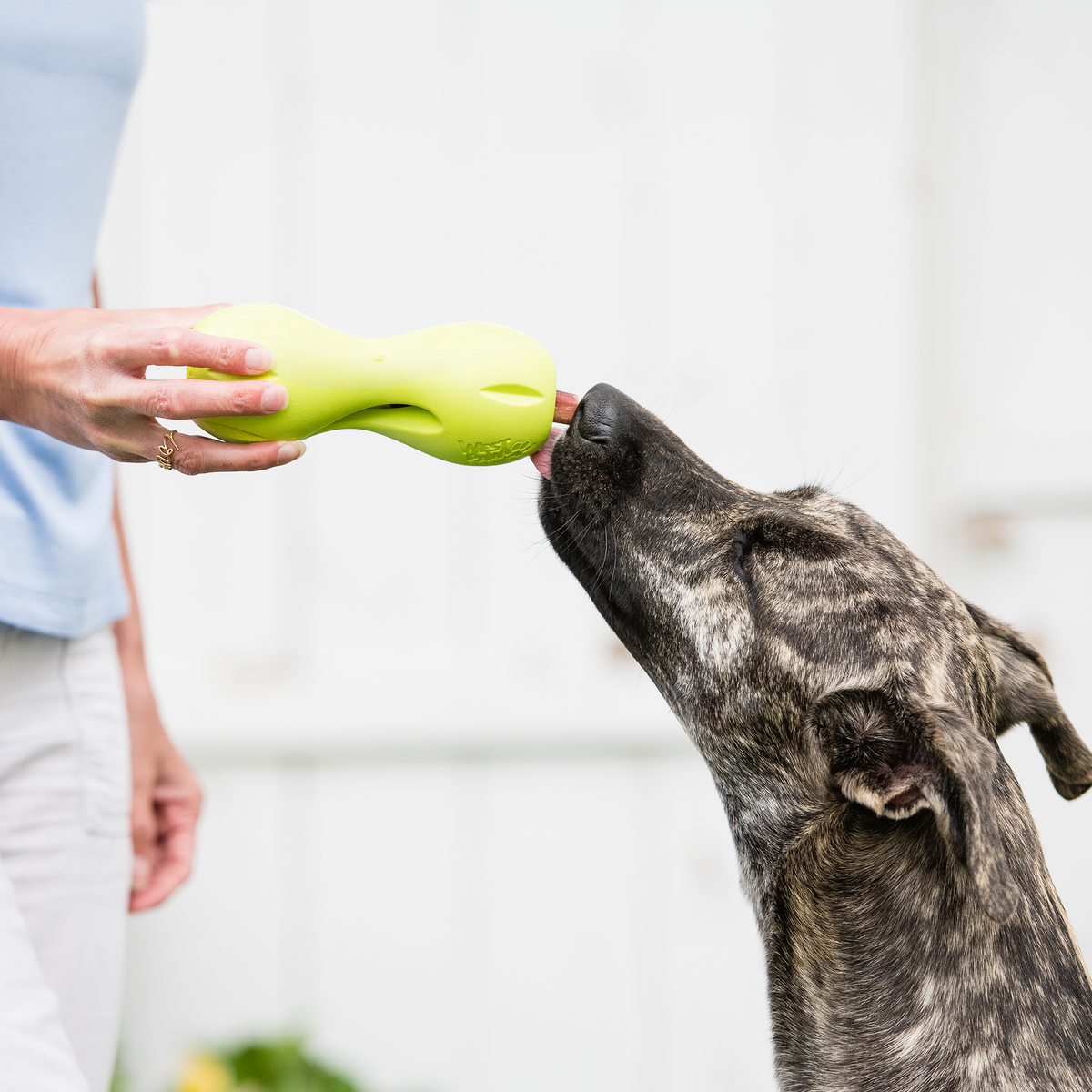 West Paw Qwizl Treat Toy for Tough Chewers, view 8