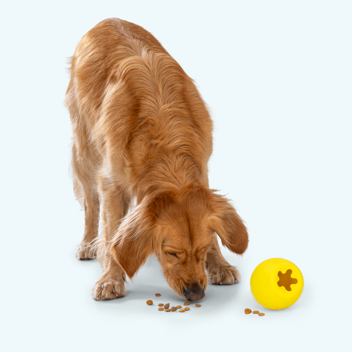 West Paw Rumbl Treat-Dispensing Puzzle Ball, view 5
