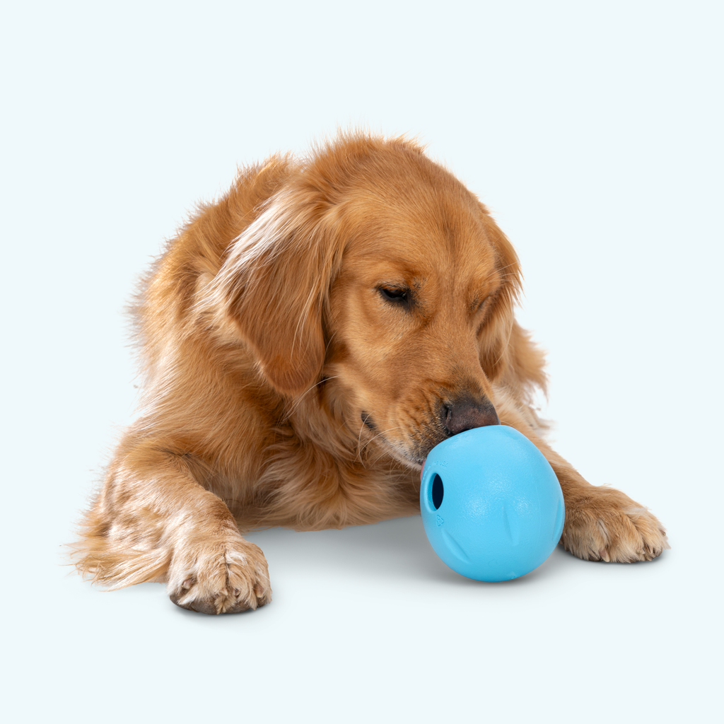 West Paw Rumbl Treat-Dispensing Puzzle Ball, view 8