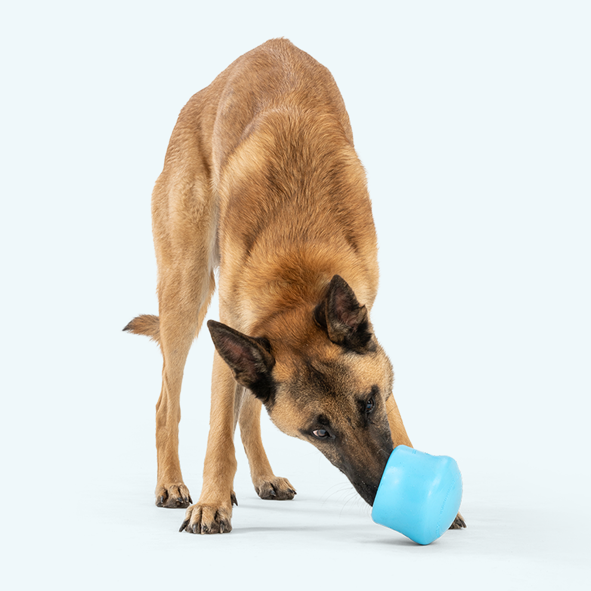 West Paw Toppl Treat-Dispensing Dog Toy, view 5