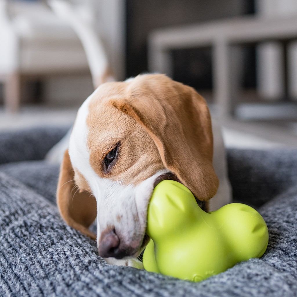 West Paw Tux Tough Treat Toy, view 7