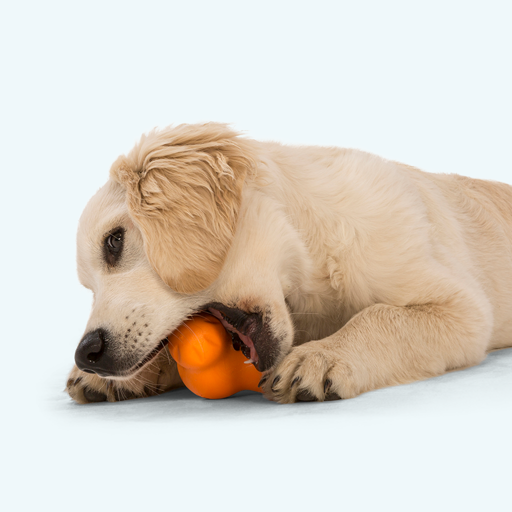 West Paw Tux Tough Treat Toy, view 5